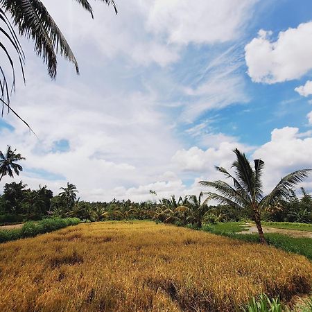 Bunga Maliq Bungalow Lombok テテバトゥ エクステリア 写真