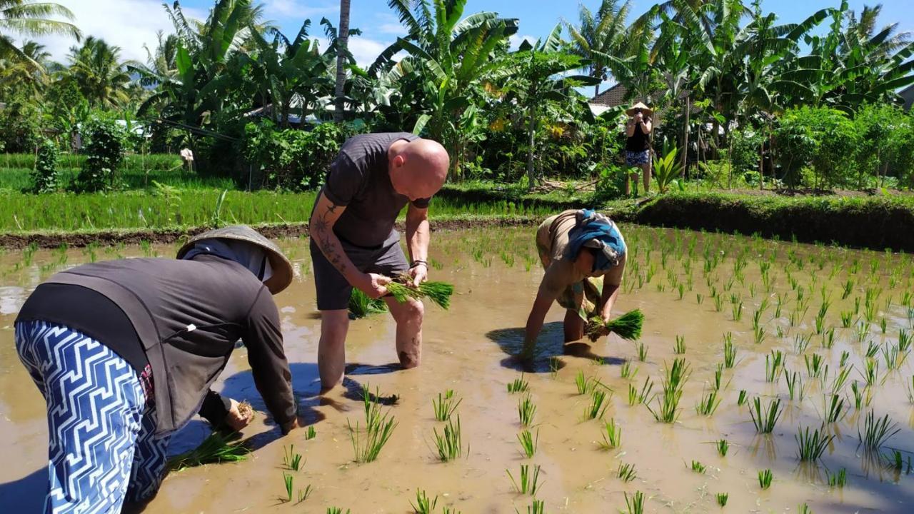 Bunga Maliq Bungalow Lombok テテバトゥ エクステリア 写真