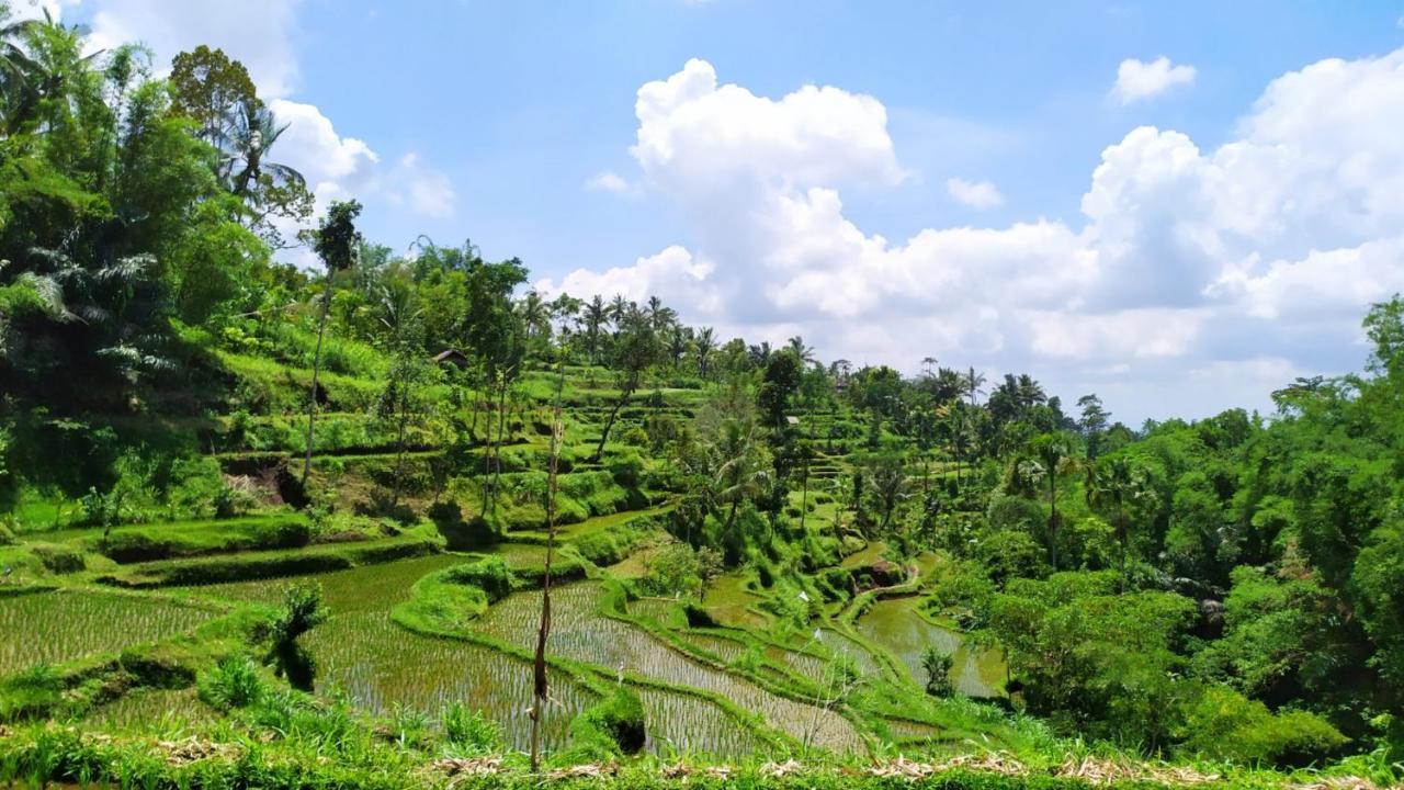 Bunga Maliq Bungalow Lombok テテバトゥ エクステリア 写真