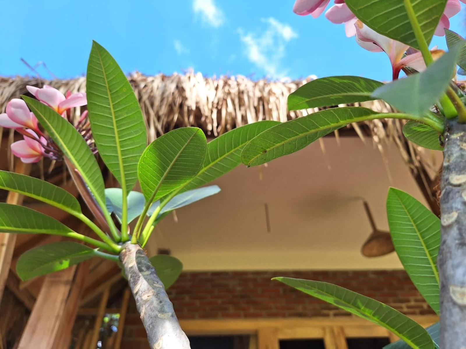 Bunga Maliq Bungalow Lombok テテバトゥ エクステリア 写真