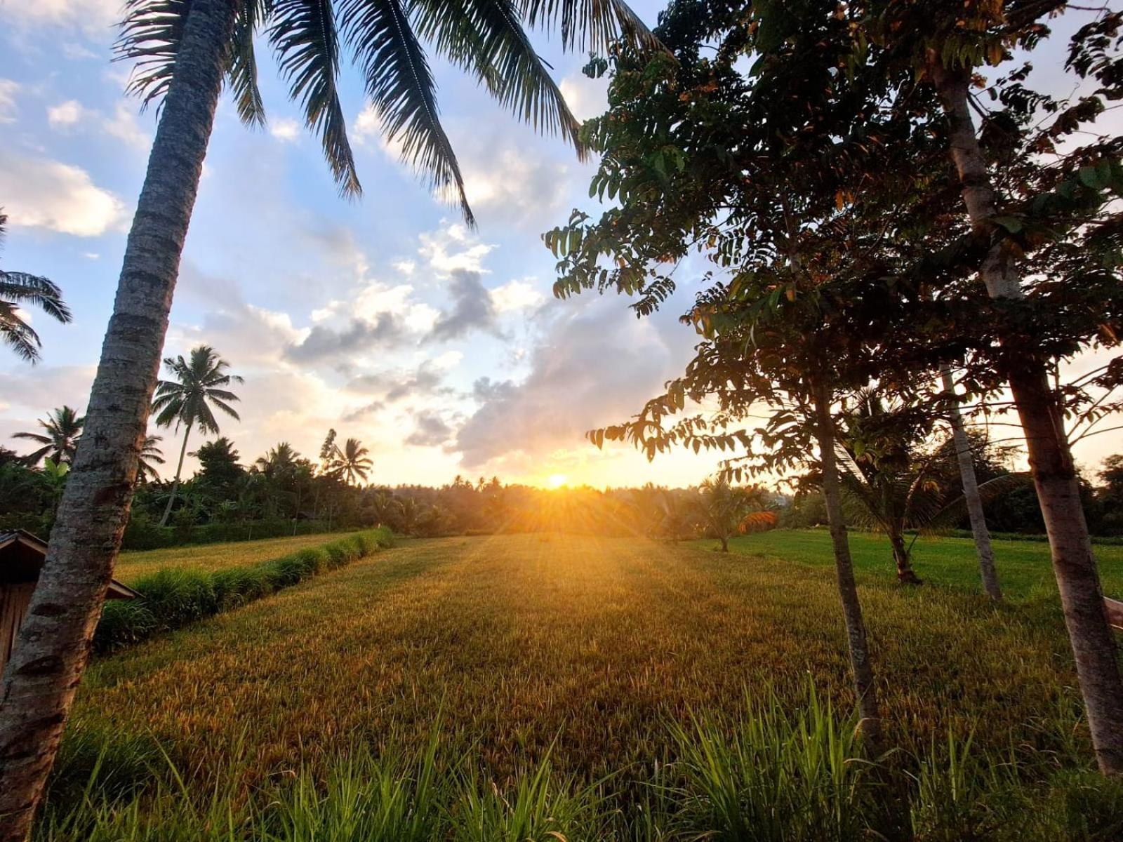 Bunga Maliq Bungalow Lombok テテバトゥ エクステリア 写真