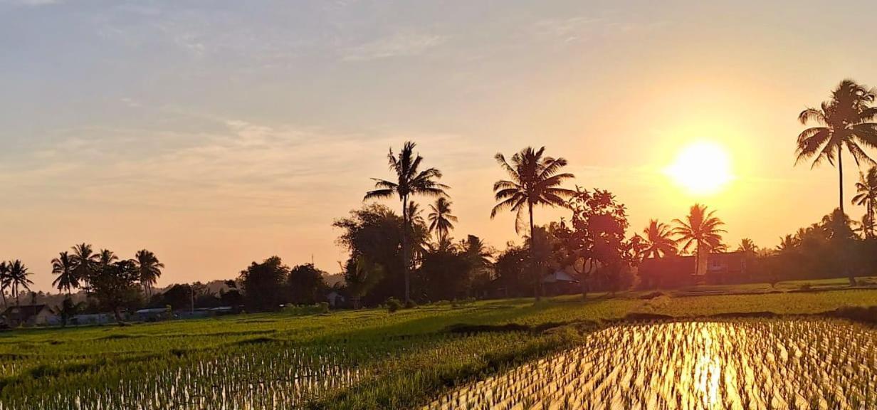 Bunga Maliq Bungalow Lombok テテバトゥ エクステリア 写真