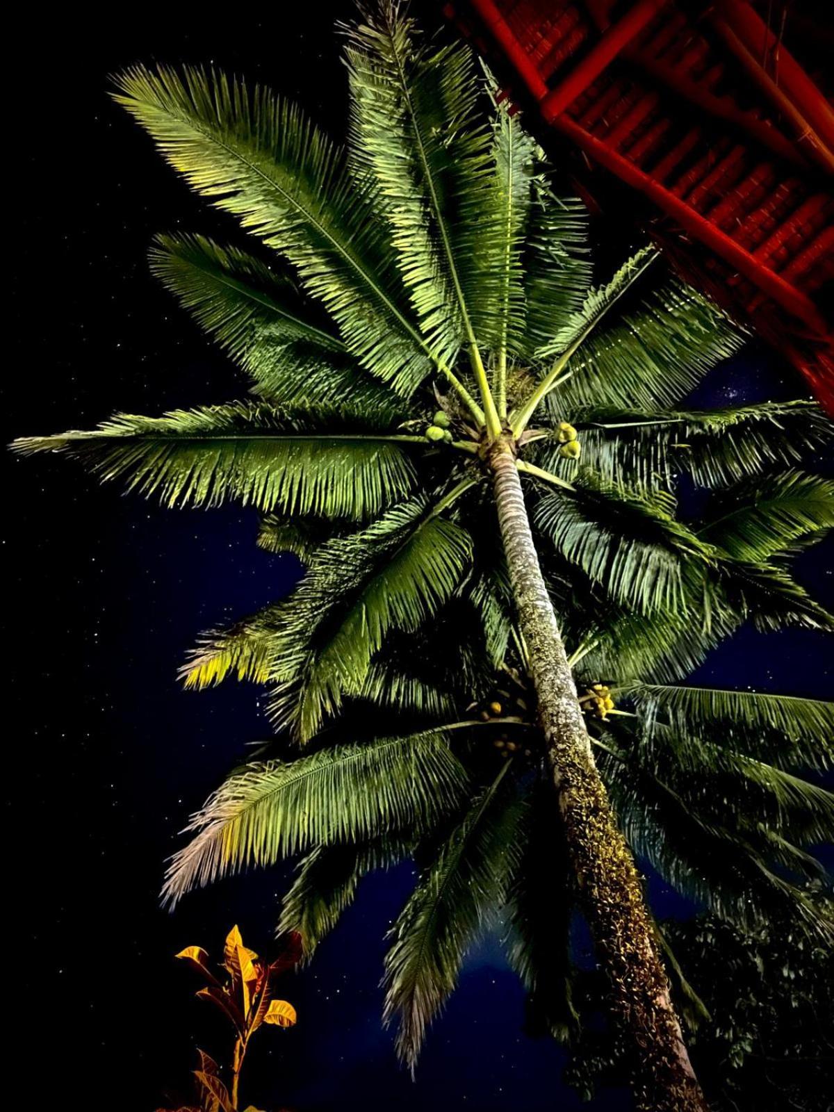 Bunga Maliq Bungalow Lombok テテバトゥ エクステリア 写真