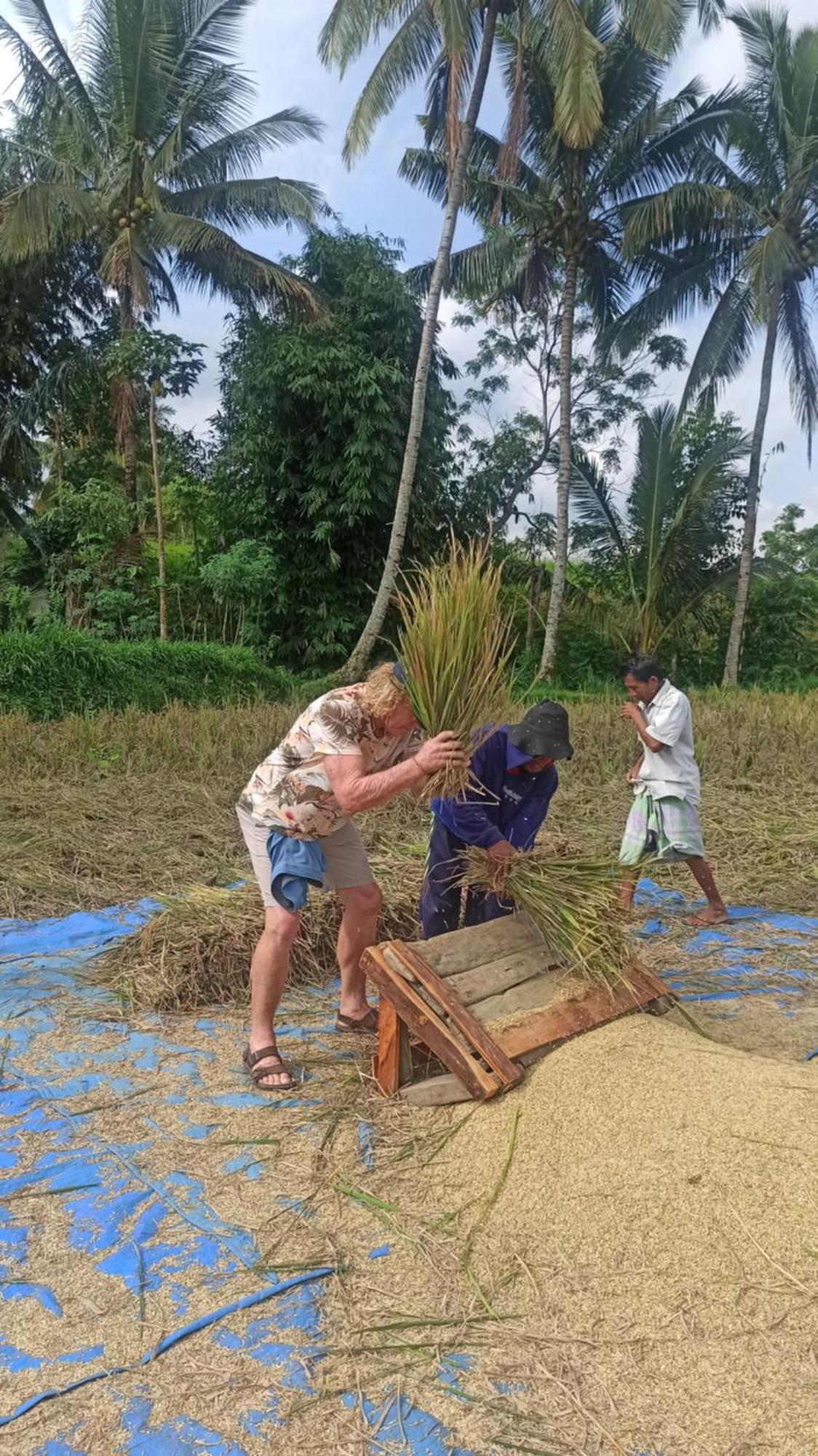 Bunga Maliq Bungalow Lombok テテバトゥ エクステリア 写真