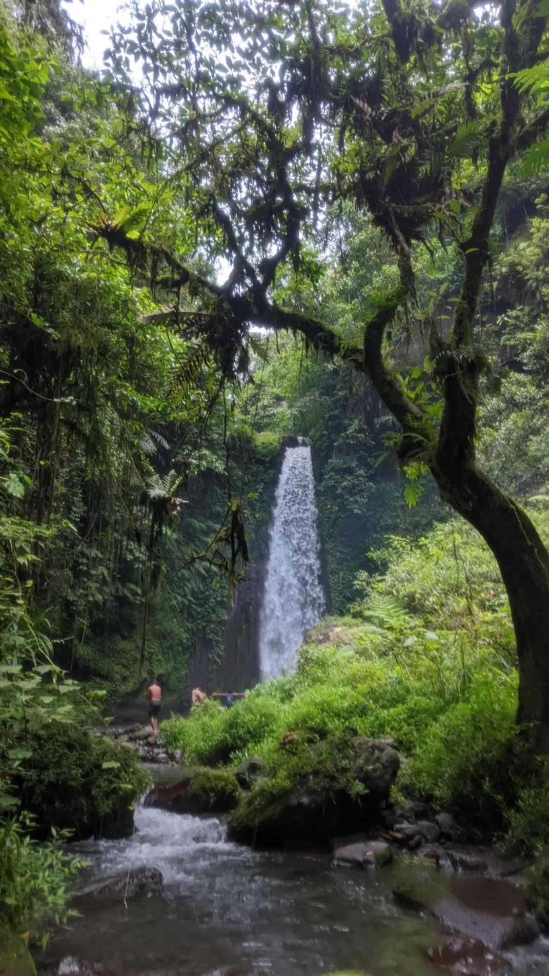 Bunga Maliq Bungalow Lombok テテバトゥ エクステリア 写真