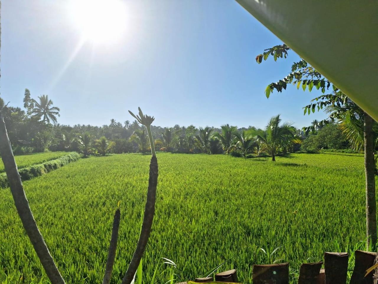 Bunga Maliq Bungalow Lombok テテバトゥ 部屋 写真