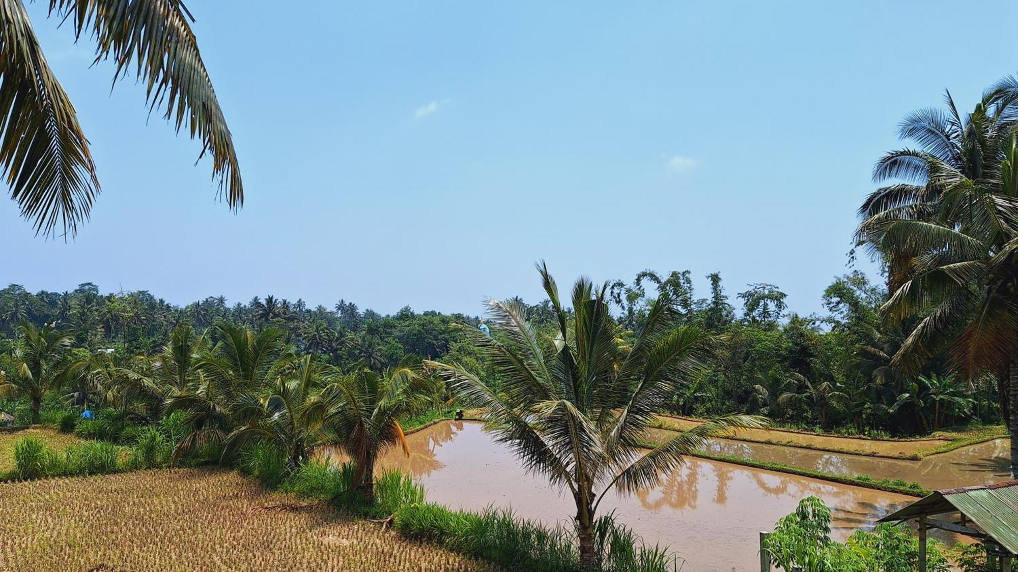 Bunga Maliq Bungalow Lombok テテバトゥ エクステリア 写真
