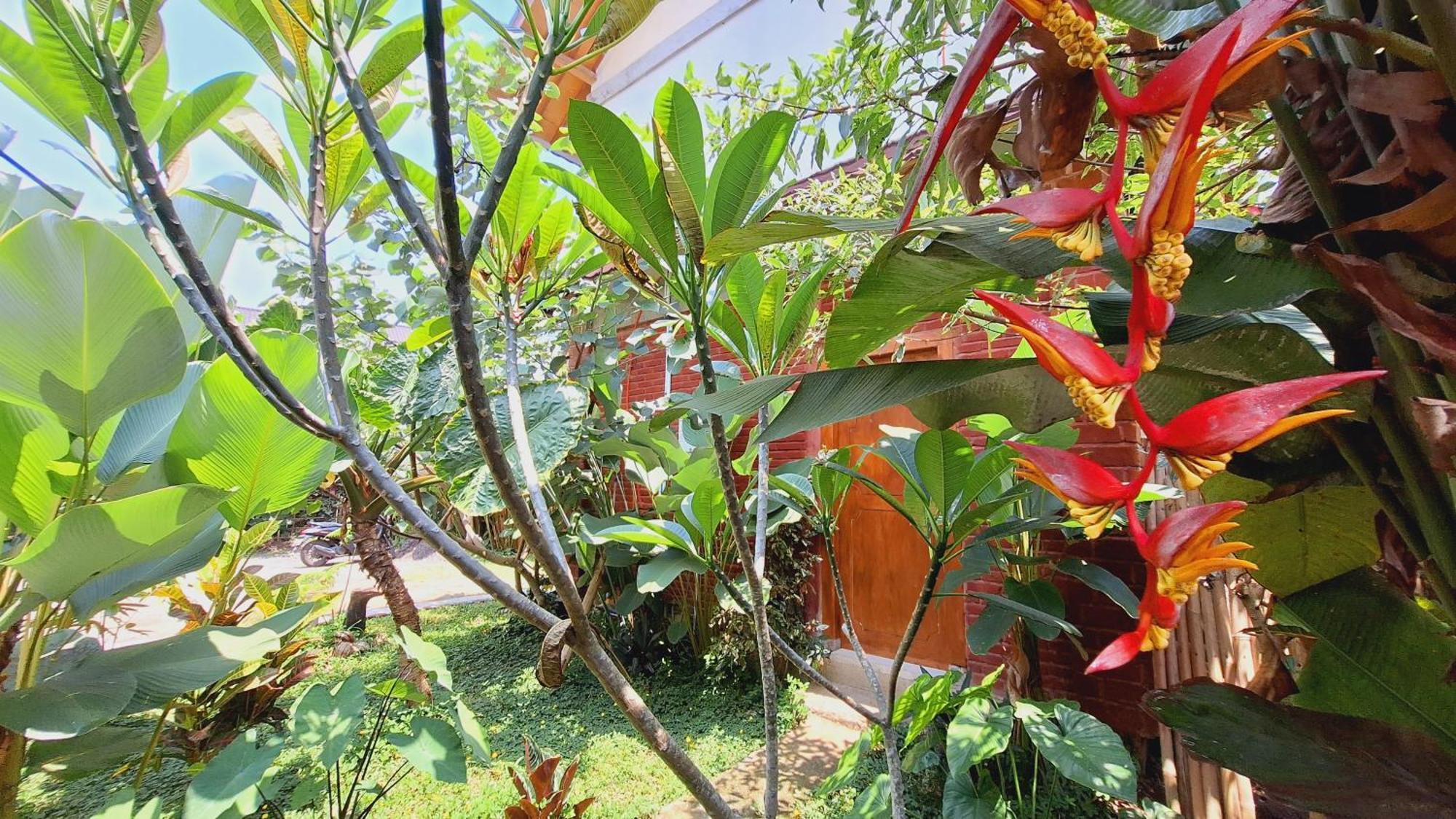 Bunga Maliq Bungalow Lombok テテバトゥ 部屋 写真