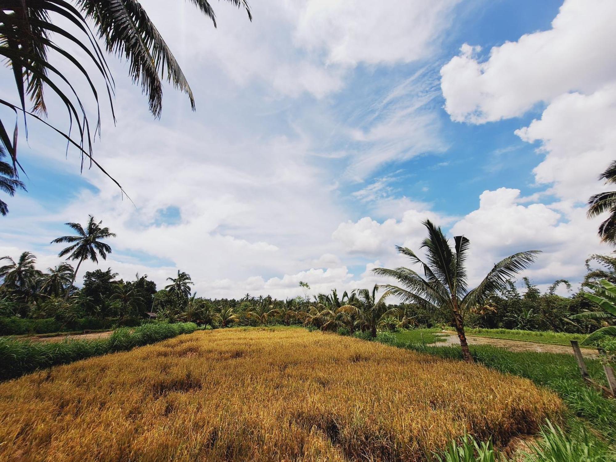 Bunga Maliq Bungalow Lombok テテバトゥ エクステリア 写真